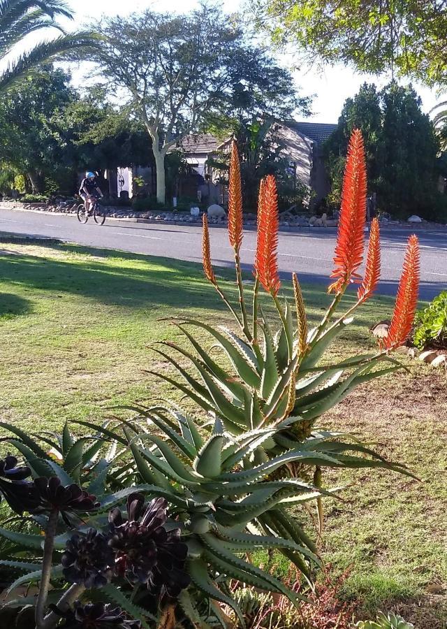 19 On Robyn Durbanville Exterior foto