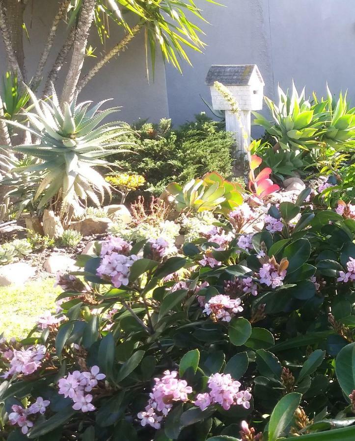 19 On Robyn Durbanville Exterior foto